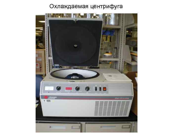 Охлаждаемая центрифуга 