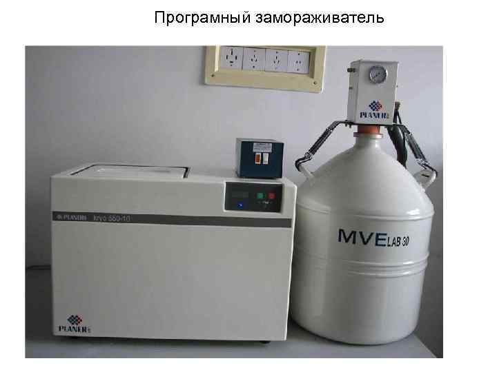 Програмный замораживатель 