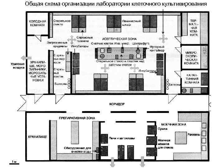 План лаборатории с расстановкой мебели и оборудования