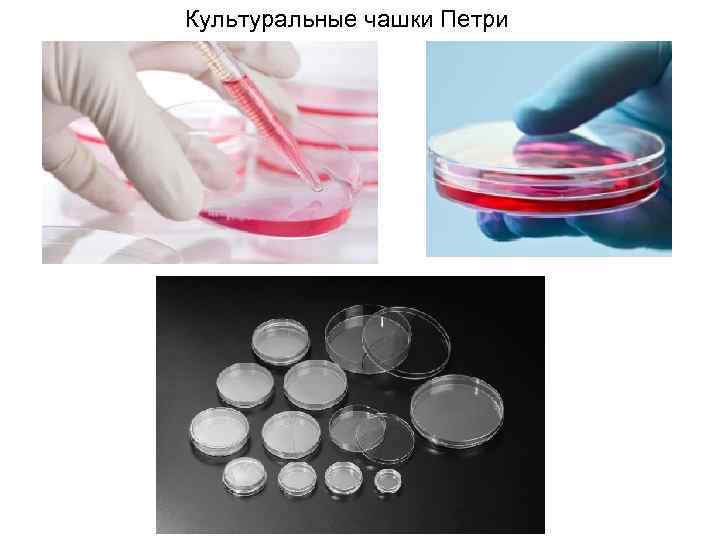 Культуральные чашки Петри 