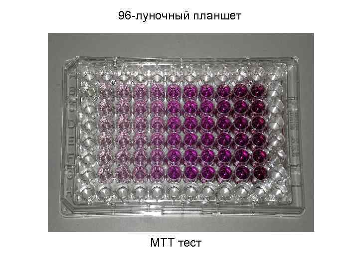 96 -луночный планшет МТТ тест 