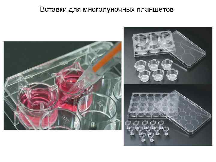 Вставки для многолуночных планшетов 