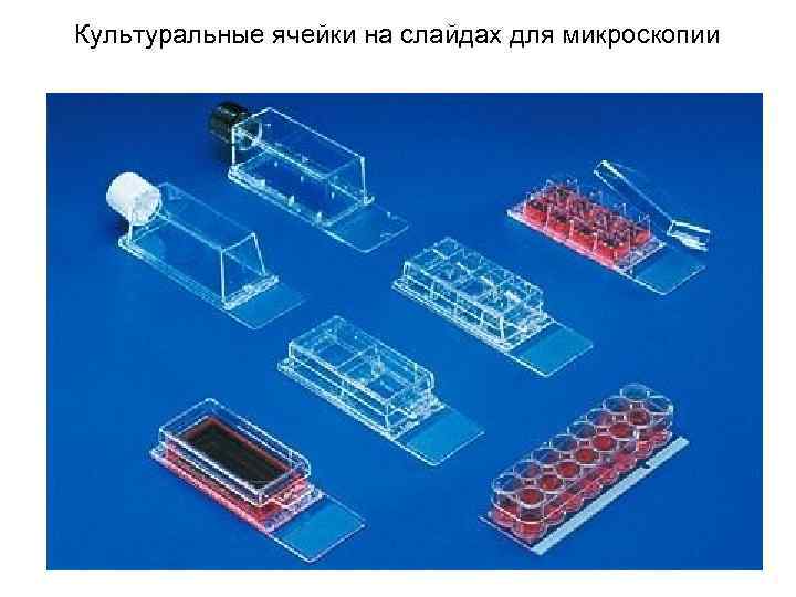 Культуральные ячейки на слайдах для микроскопии 