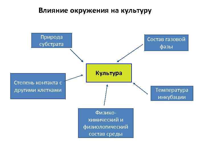 Культура степень. Влияние окружения. Окружение влияет на человека. Влияние природы на культуру. Как окружение влияет на нас.