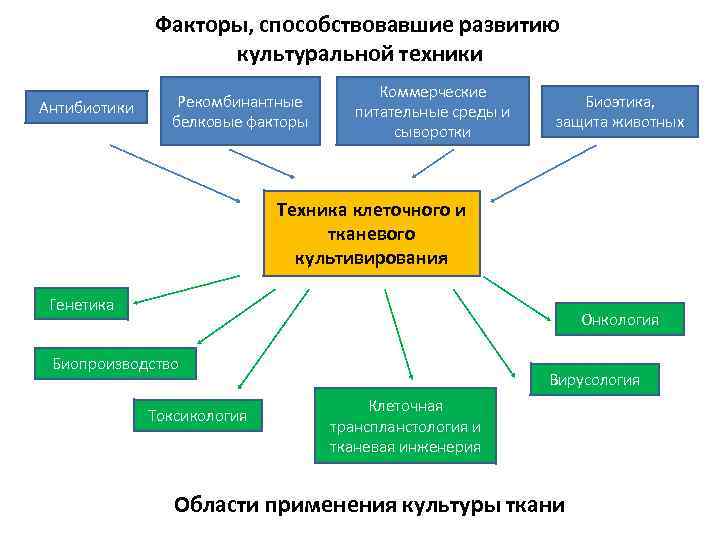 Коммерческие факторы. Биопроизводство. Факторы биоэтики. Факторы способствующие развитию биоэтики. К естественнонаучным факторам формирования биоэтики относится.