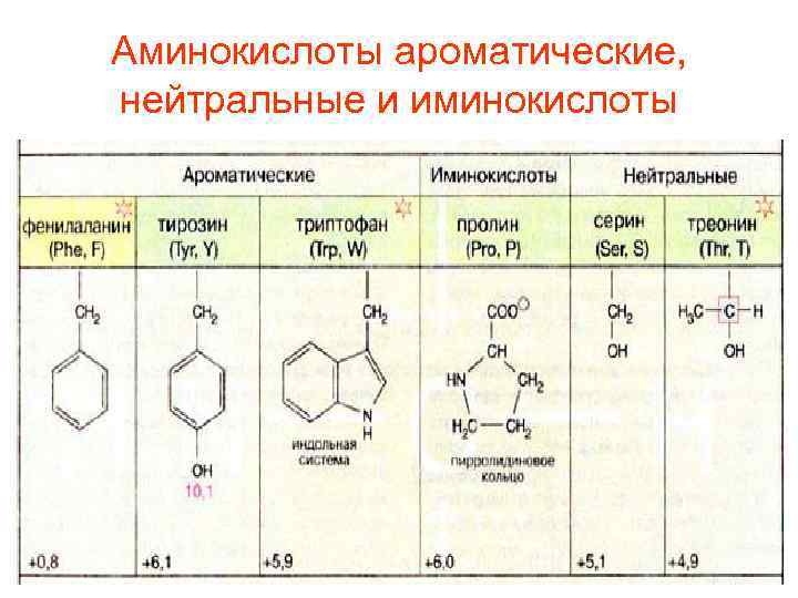 Аминокислоты ароматические, нейтральные и иминокислоты 