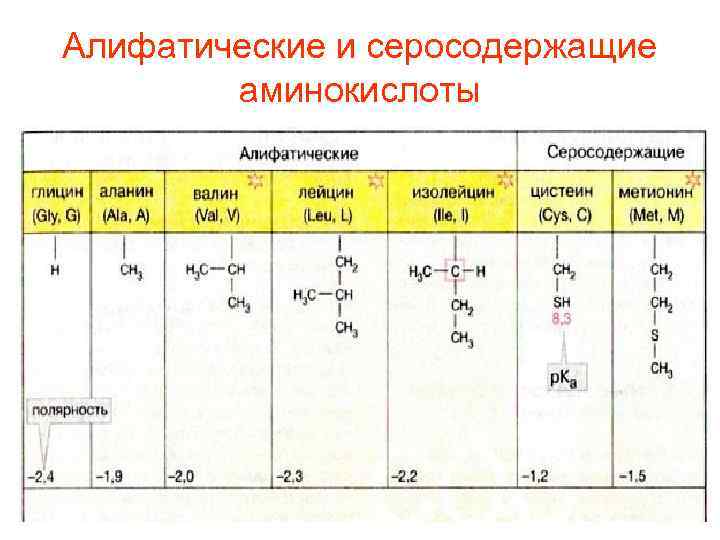 Аминокислоты поурочный план