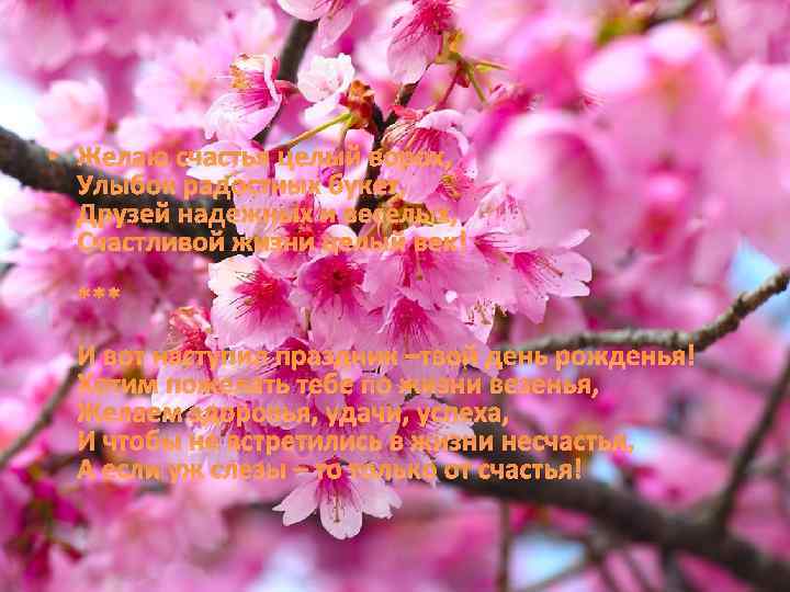  • Желаю счастья целый ворох, Улыбок радостных букет, Друзей надежных и веселых, Счастливой