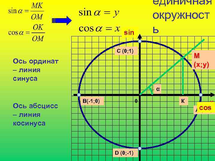 Синусом угла называется ордината