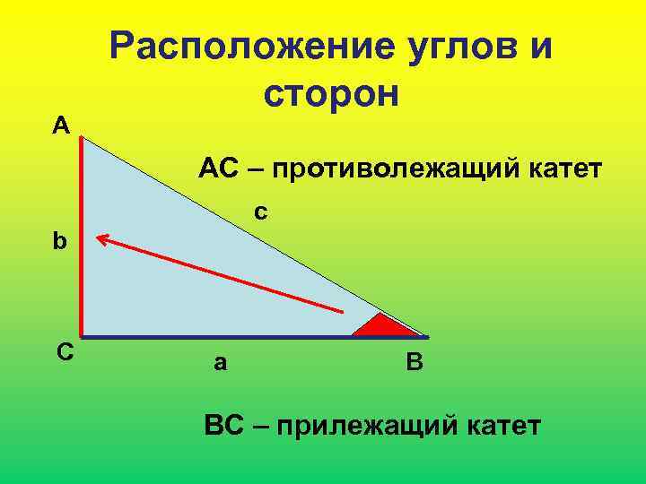 А Расположение углов и сторон АС – противолежащий катет c b С a В