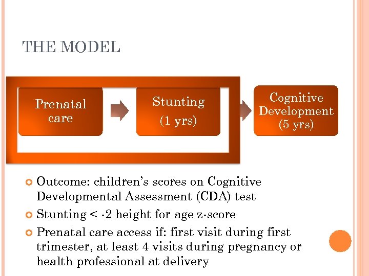 THE MODEL Prenatal care Stunting (1 yrs) Cognitive Development (5 yrs) Outcome: children’s scores