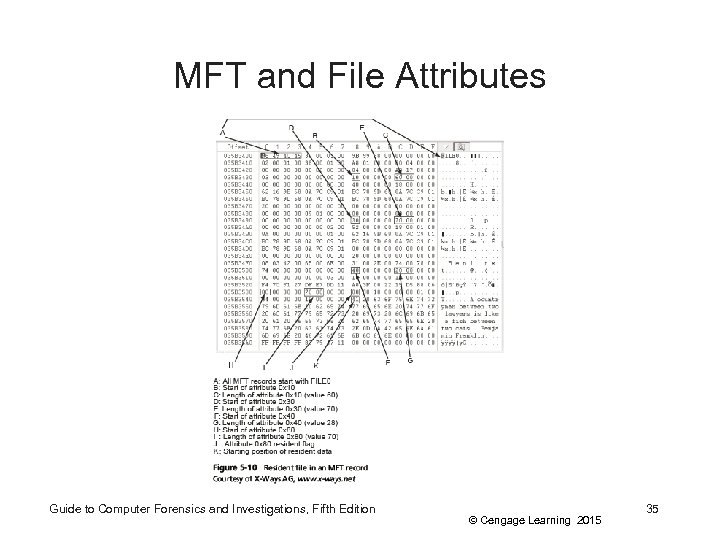 MFT and File Attributes Guide to Computer Forensics and Investigations, Fifth Edition © Cengage