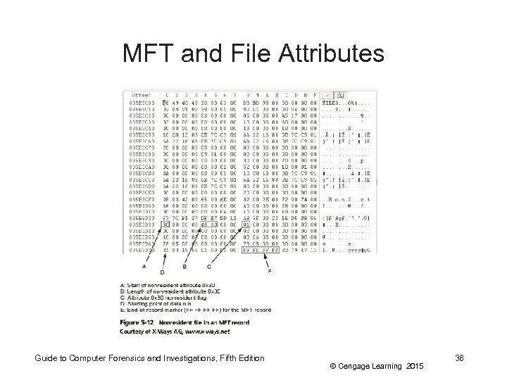 MFT and File Attributes Guide to Computer Forensics and Investigations, Fifth Edition © Cengage
