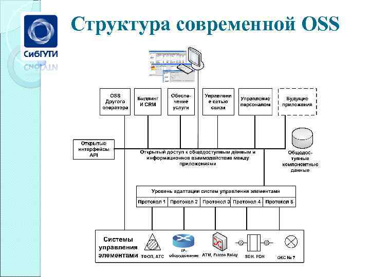 Структура современной