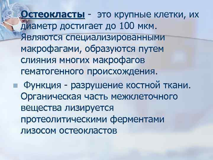 Остеокласты - это крупные клетки, их диаметр достигает до 100 мкм. Являются специализированными макрофагами,