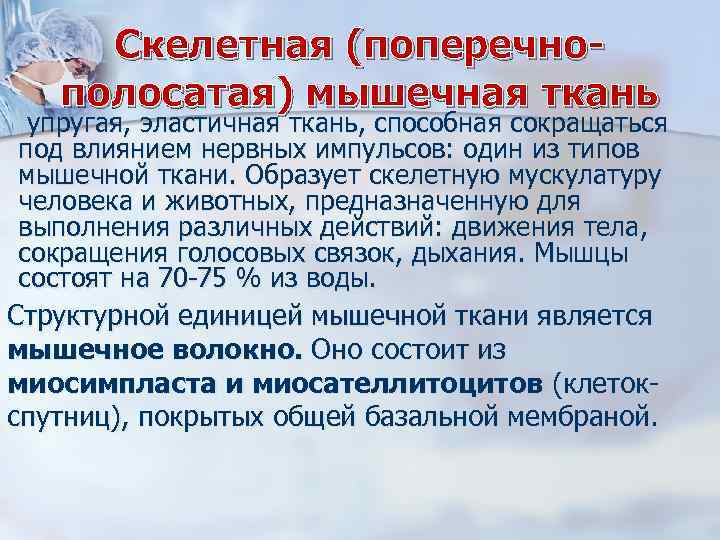 Скелетная (поперечнополосатая) мышечная ткань упругая, эластичная ткань, способная сокращаться под влиянием нервных импульсов: один