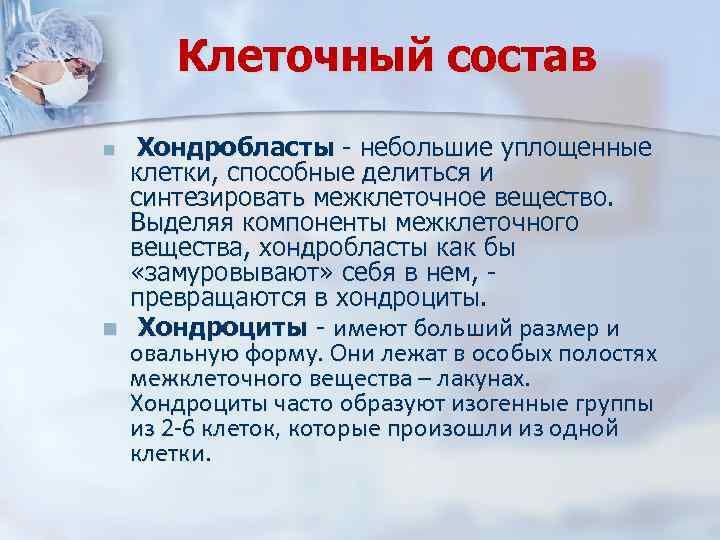 Клеточный состав n n Хондробласты - небольшие уплощенные клетки, способные делиться и синтезировать межклеточное