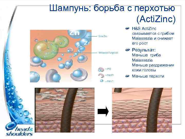 Шампунь: борьба с перхотью (Acti. Zinc) H&S Acti. Zinc связывается с грибом Malassezia и