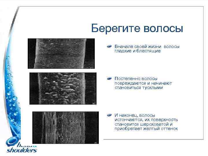 Берегите волосы Вначале своей жизни волосы гладкие и блестящие Постепенно волосы повреждаются и начинают
