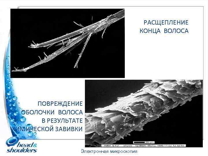 РАСЩЕПЛЕНИЕ КОНЦА ВОЛОСА ПОВРЕЖДЕНИЕ ОБОЛОЧКИ ВОЛОСА В РЕЗУЛЬТАТЕ ХИМИЧЕСКОЙ ЗАВИВКИ Электронная микроскопия 