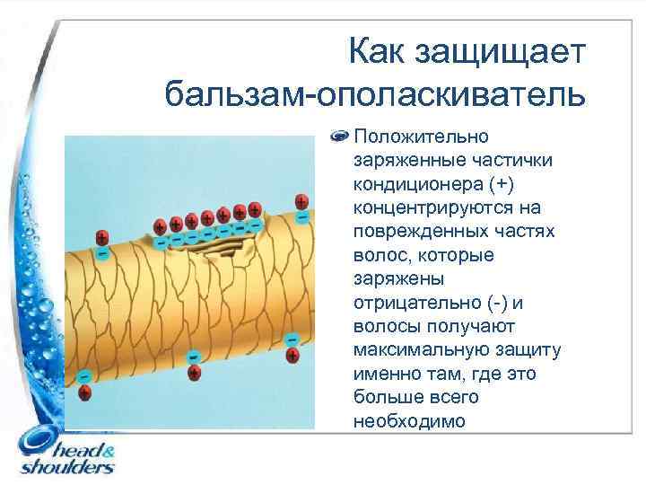 Как защищает бальзам-ополаскиватель Положительно заряженные частички кондиционера (+) концентрируются на поврежденных частях волос, которые