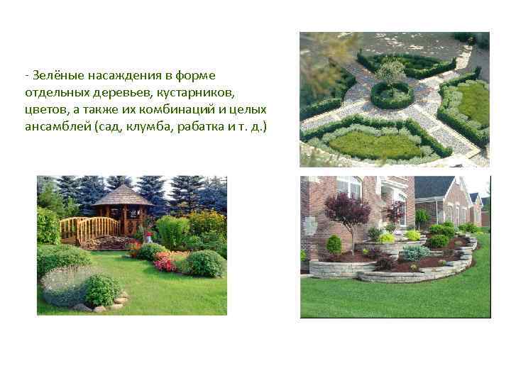 - Зелёные насаждения в форме отдельных деревьев, кустарников, цветов, а также их комбинаций и