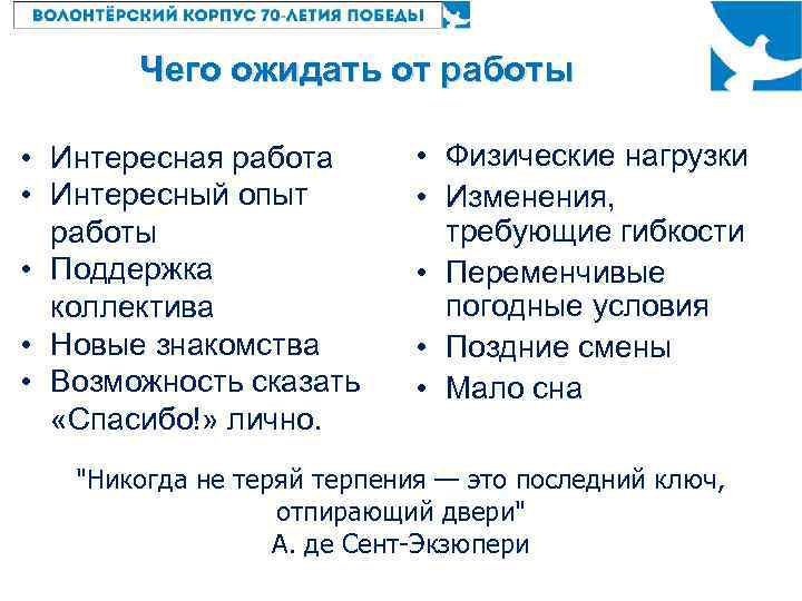 Чего ожидать от работы • Интересная работа • Интересный опыт работы • Поддержка коллектива