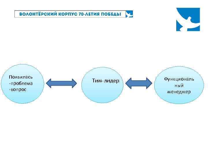 Появилась -проблема -вопрос Тим-лидер Функциональ ный менеджер 