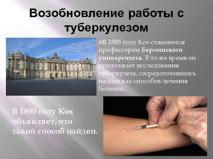 Возобновление работы с туберкулезом В 1885 году Кох становится профессором Берлинского университета. В то