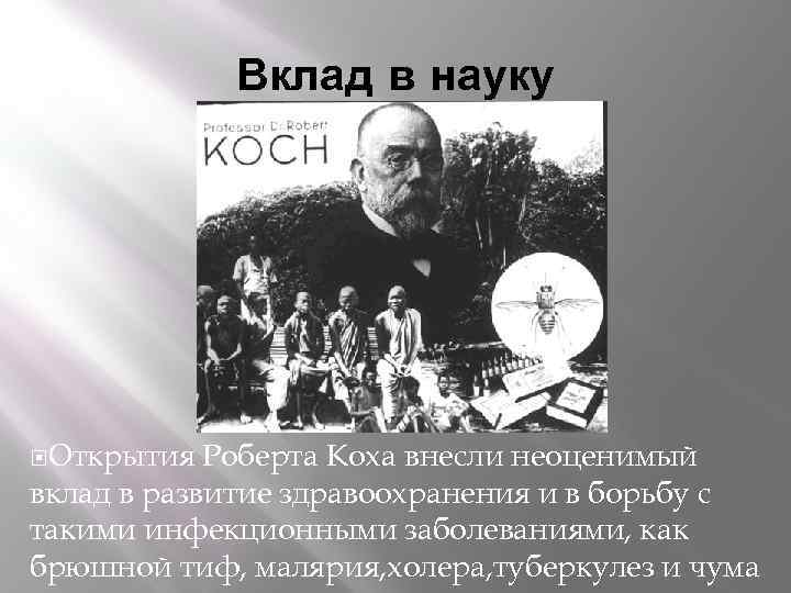 Вклад в науку Открытия Роберта Коха внесли неоценимый вклад в развитие здравоохранения и в