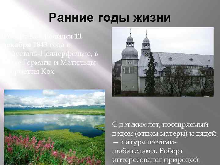 Ранние годы жизни. Роберт Кох родился 11 декабря 1843 года в Клаусталь-Целлерфельде, в семье
