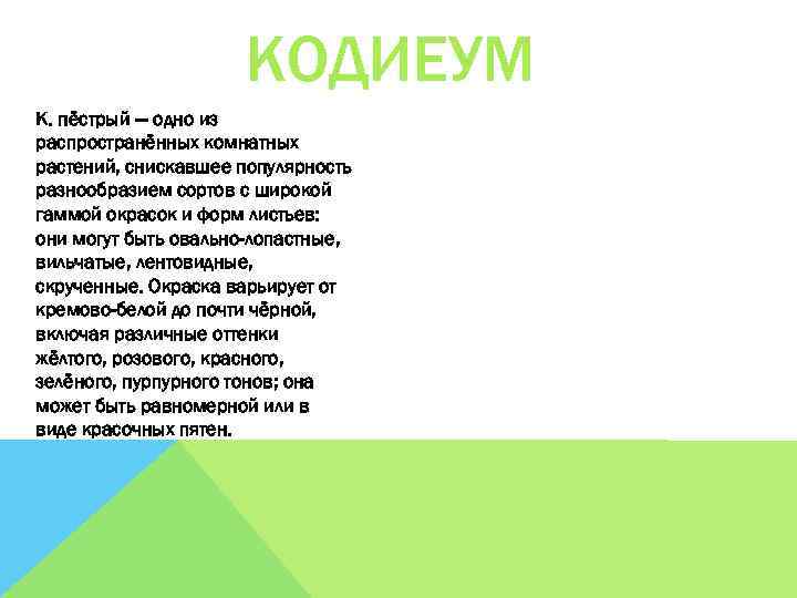 КОДИЕУМ К. пёстрый — одно из распространённых комнатных растений, снискавшее популярность разнообразием сортов с