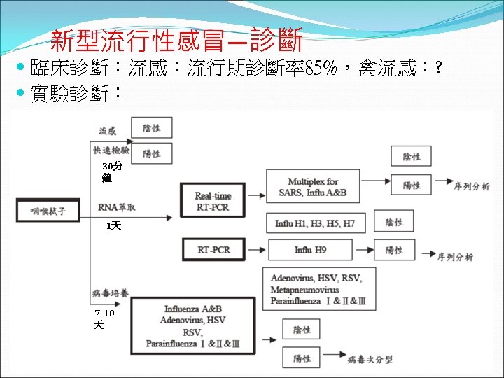 新型流行性感冒—診斷 臨床診斷：流感：流行期診斷率85%，禽流感：? 實驗診斷： 30分 鐘 1天 7 -10 天 