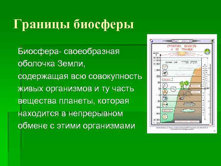 Антропогенное воздействие на биосферу план