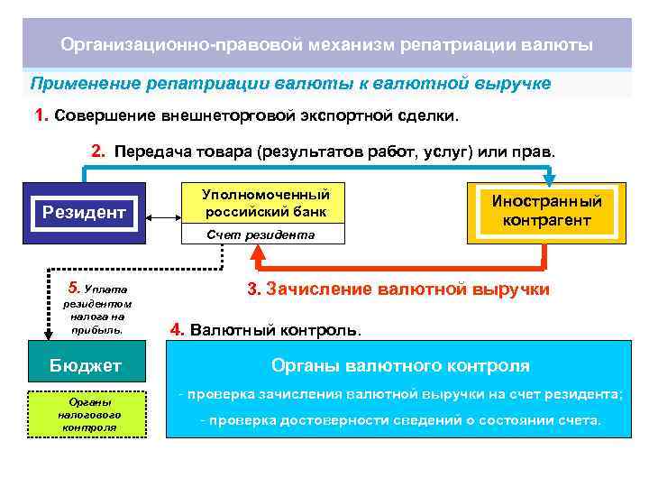 Валютные обязанности