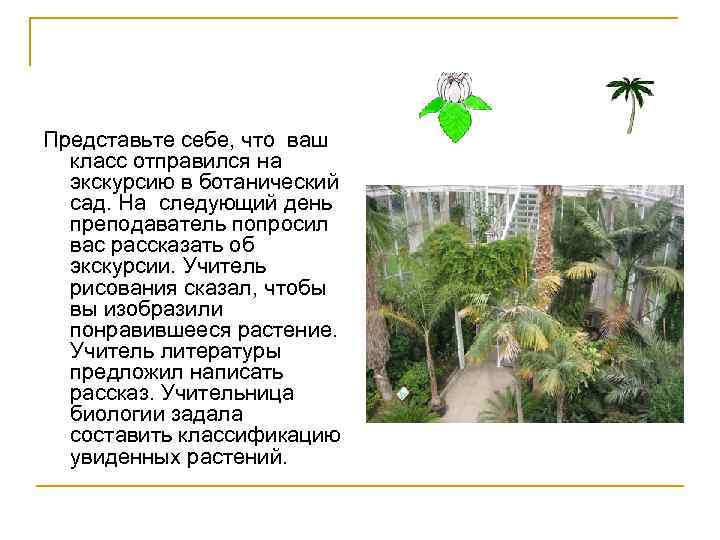 Представьте себе, что ваш класс отправился на экскурсию в ботанический сад. На следующий день