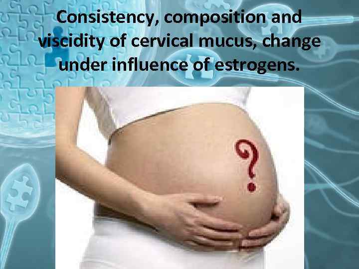 Consistency, composition and viscidity of cervical mucus, change under influence of estrogens. 