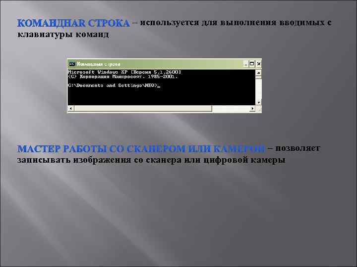 – используется для выполнения вводимых с клавиатуры команд – позволяет записывать изображения со сканера