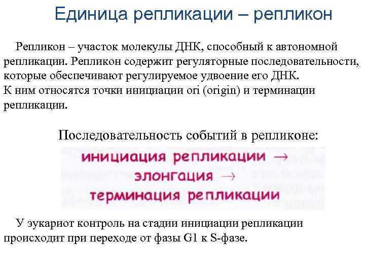 Единица репликации – репликон Репликон – участок молекулы ДНК, способный к автономной репликации. Репликон