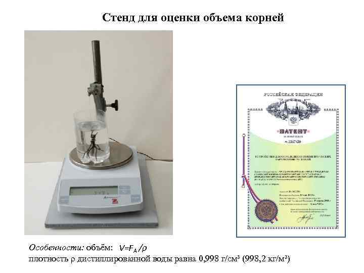 Стенд для оценки объема корней Особенности: объём: V=FA /ρ плотность ρ дистиллированной воды равна