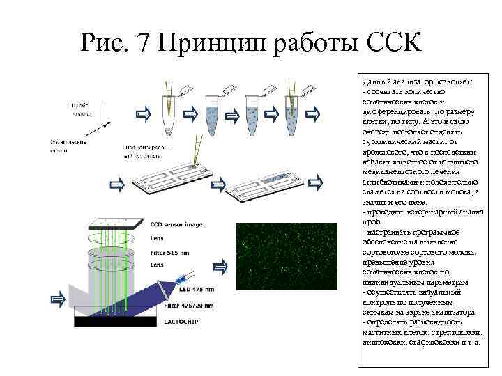 Рис. 7 Принцип работы ССК Данный анализатор позволяет: - сосчитать количество соматических клеток и