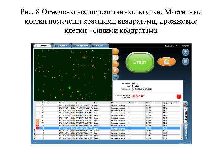 Рис. 8 Отмечены все подсчитанные клетки. Маститные клетки помечены красными квадратами, дрожжевые клетки -