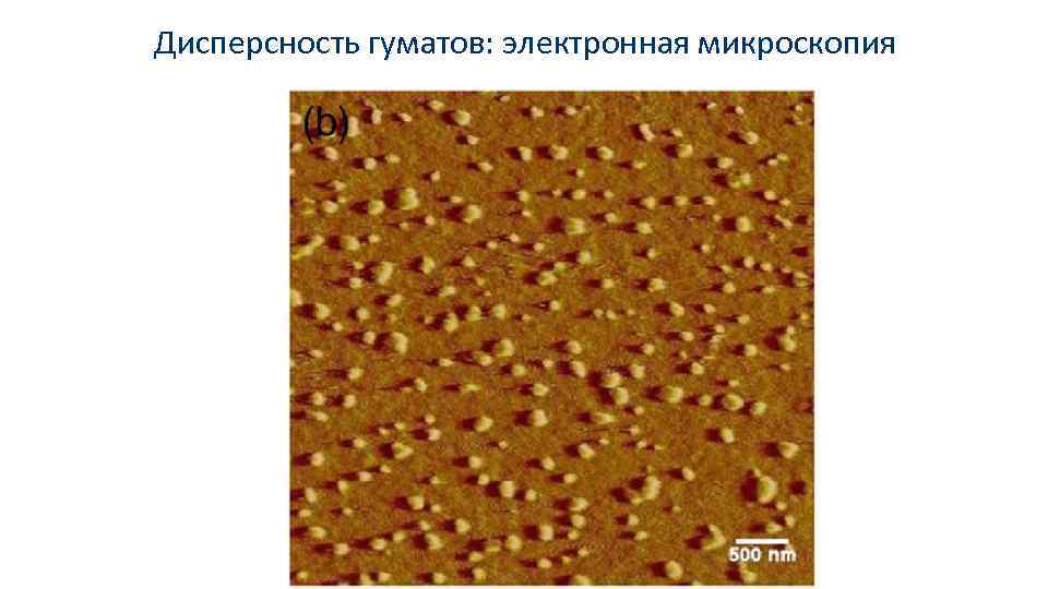 Дисперсность гуматов: электронная микроскопия 