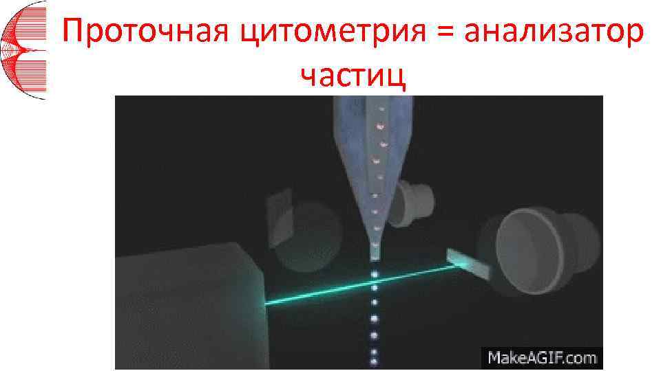 Проточная цитометрия = анализатор частиц 