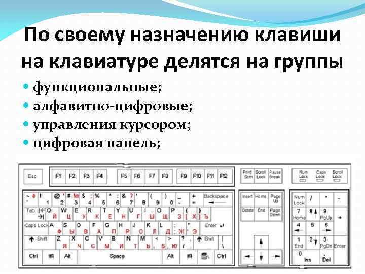 По своему назначению клавиши на клавиатуре делятся на группы функциональные; алфавитно-цифровые; управления курсором; цифровая