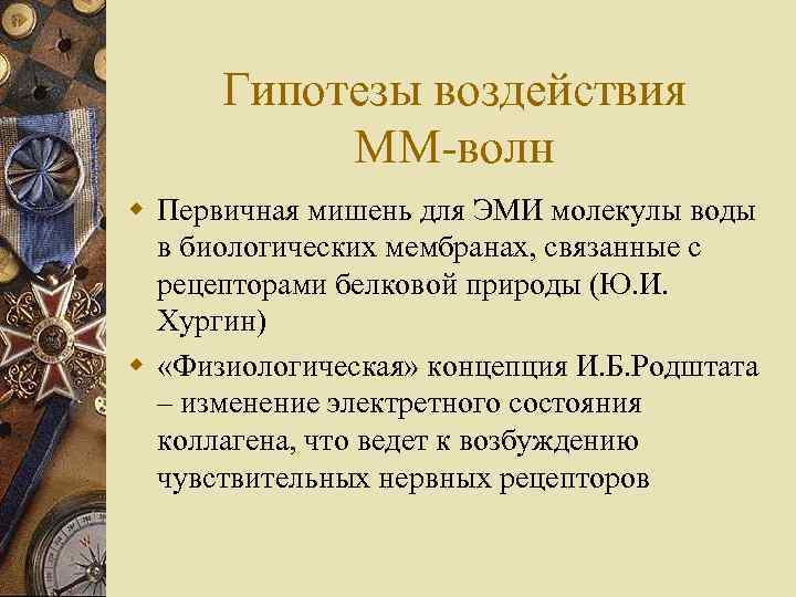 Гипотезы воздействия ММ-волн w Первичная мишень для ЭМИ молекулы воды в биологических мембранах, связанные
