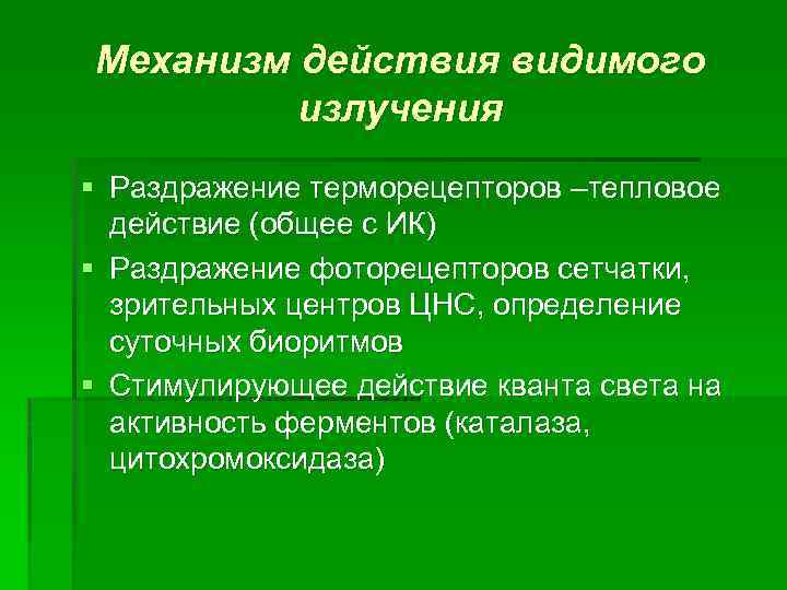 Механизм действия видимого излучения § Раздражение терморецепторов –тепловое действие (общее с ИК) § Раздражение