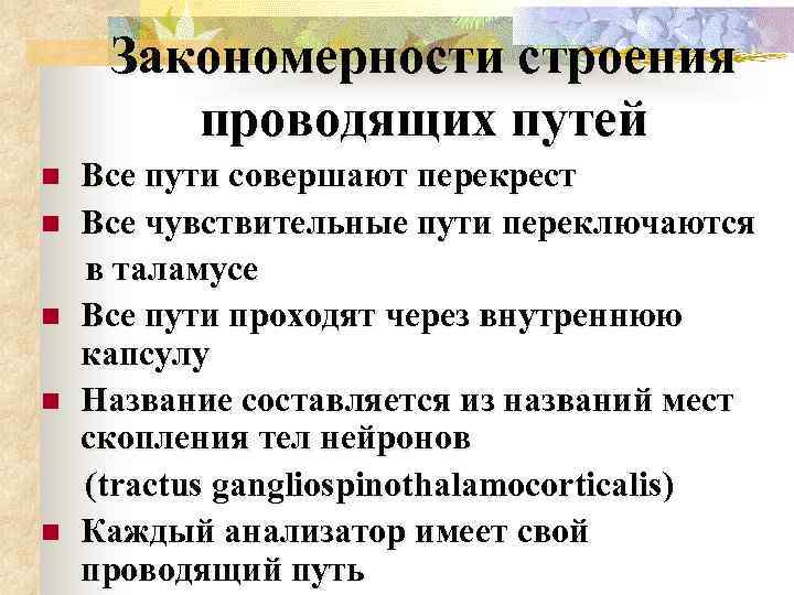 Закономерности строения проводящих путей n n n Все пути совершают перекрест Все чувствительные пути