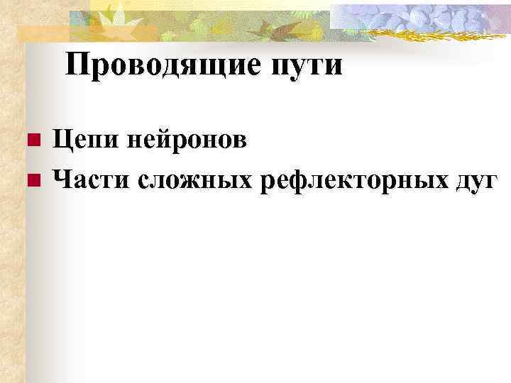 Проводящие пути n n Цепи нейронов Части сложных рефлекторных дуг 