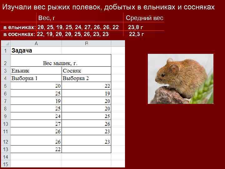 Огэ по информатике презентация мышь полевка